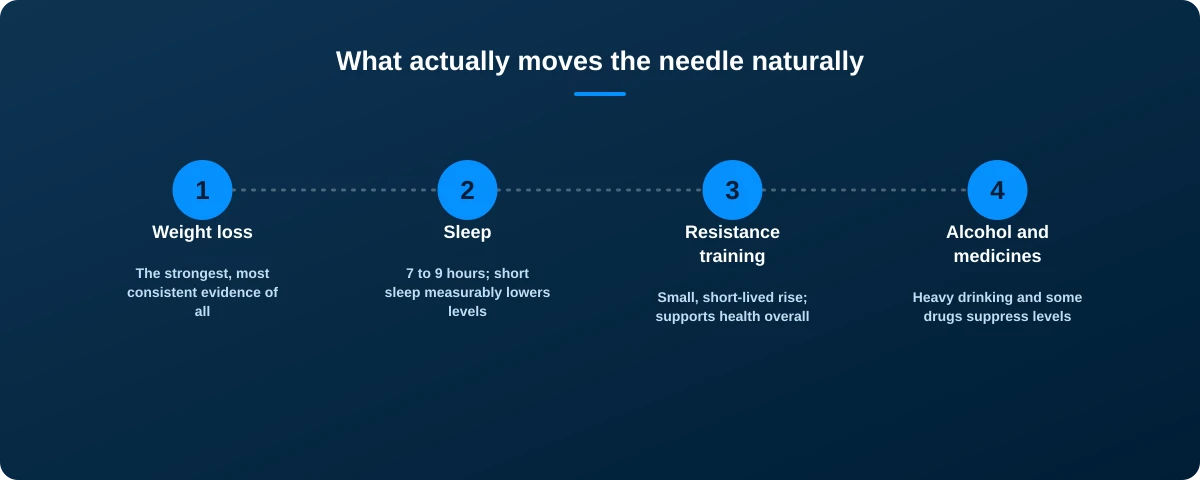 Four-box graphic: weight loss has the strongest evidence, poor sleep measurably lowers testosterone, resistance training gives a short-lived rise, and alcohol or certain medicines can suppress it further
